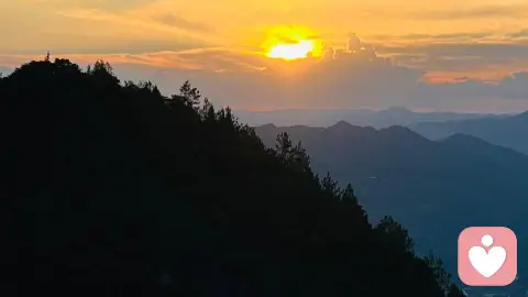 疗愈篇