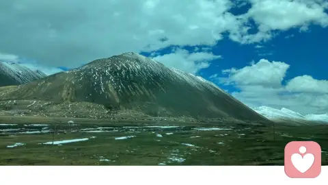 好的感情,从不用拼命维系