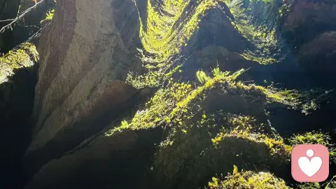 午睡多长时间合适