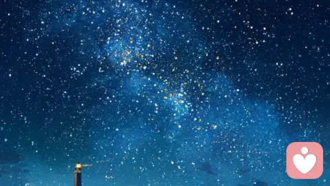 真正的自由,从接纳孤独开始