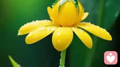 如何做好心灵滋养