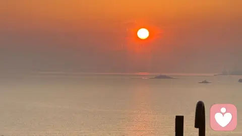 生理匹配,灵魂契合,思想共鸣,