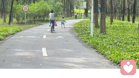 修行到深处，皆是自愈与释然