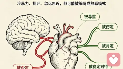 为什么你总遇到渣男/女？熟悉感如何伪装成爱情 ？