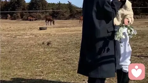恋爱不好谈，成年人的感情真相