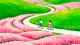 最小行动法：每天5分钟，改变你的人生