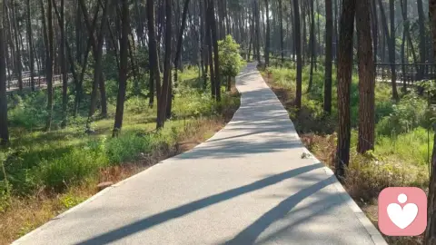 我为什么成为一名倾听师