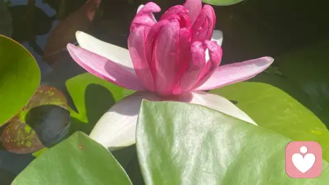 翻出旧日记，看见婚姻里的我