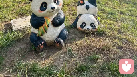 恋母情结的真正成因,从来不是“坏”