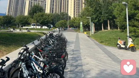 如今流行搭伙过日子的缘由