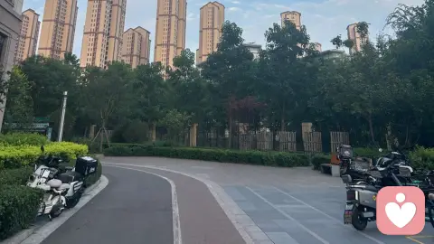 人需要情绪价值的重要性