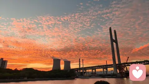 屏幕后的青春：连接广，孤独深