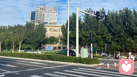 杨振宁与翁帆:跨越年龄,重在精神契合
