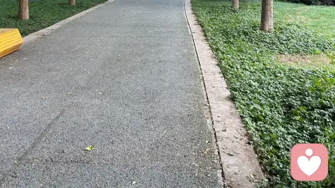 单亲家庭没有所谓的“致命危害”