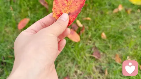 允许蜗牛停下脚步