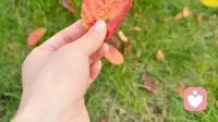 允许蜗牛停下脚步