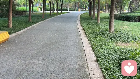 为什么走进二婚的非常难