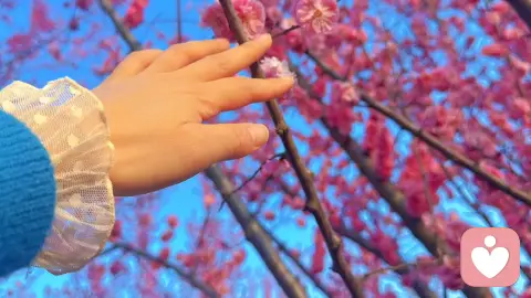 让我们一起对抗世界的荒凉