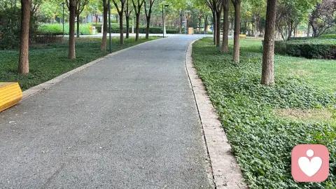失眠带来的危害