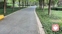 失眠带来的危害