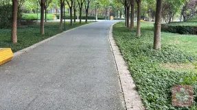 失眠带来的危害