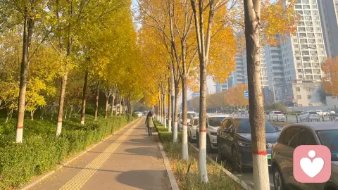 心里装了很多心事，却找不到人诉说