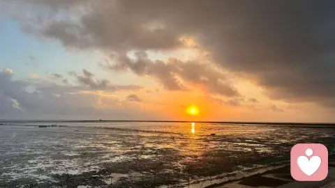 凌晨三点奔赴大海,我只为治愈自己!