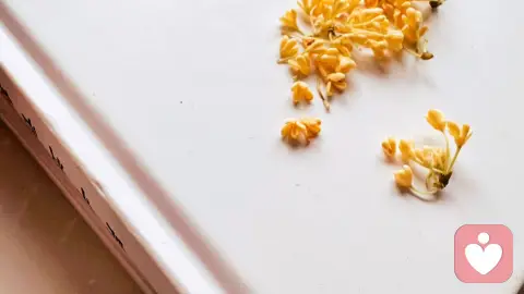 宝贝，我能给你最好的