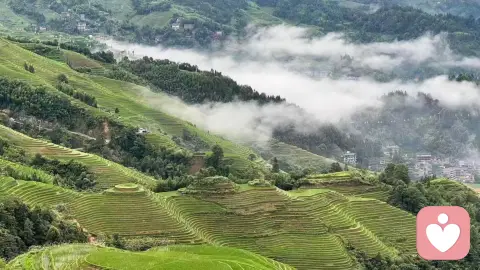 真正高级的女性魅力,从来不是美貌!