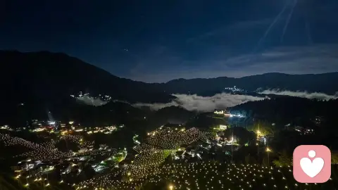 你爱上的从来不是他人,而是你未被活出的自己!