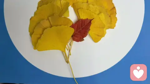 心里的花团锦簇
