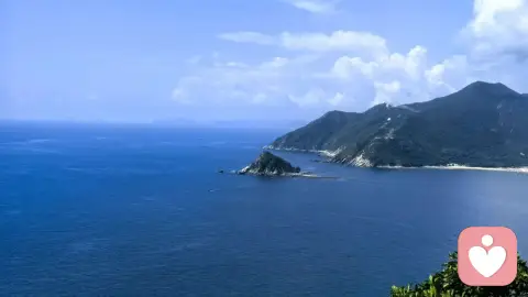 钱和感情一样,都需要透明度