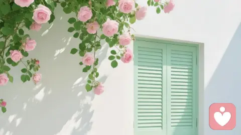 婚姻中的NPD是什么样的？