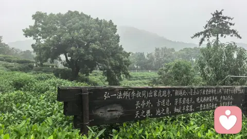 男人一天一个变化，背后的真相是什么？
