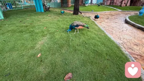 爱的底色，是心疼与尊重