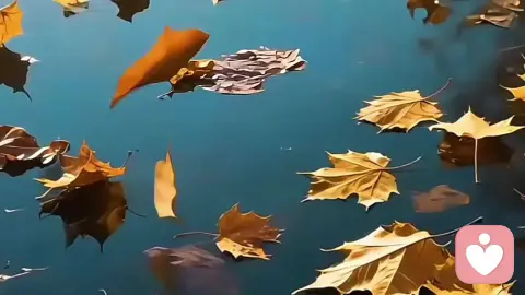 清醒的背弃，最伤人