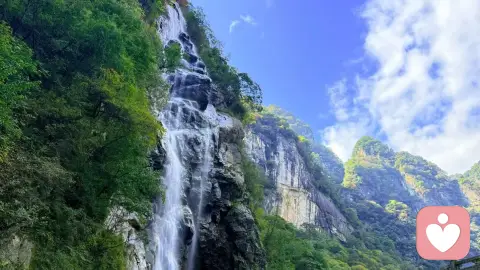 小时候总想做一块不会受伤的石头