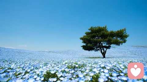 【分享】那些年，默默訴說(shuō)著的過(guò)往
