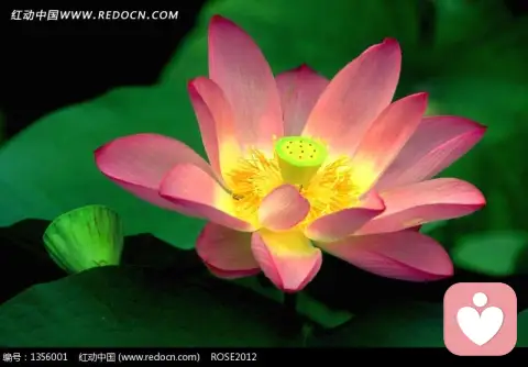 父母怎樣應對孩子的三個叛逆期