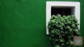 人际关系中,常见的四种消极心理误区 【原创】