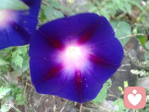 邊界關(guān)系一籮筐《二》