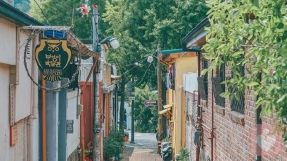 不因情绪一叶障目，看到它、接受它