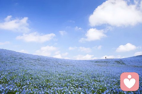 【分享】那一世的回眸