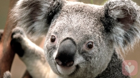 父母教养方式对孩子的影响