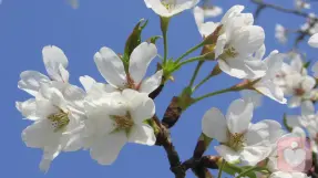 心灵的成长