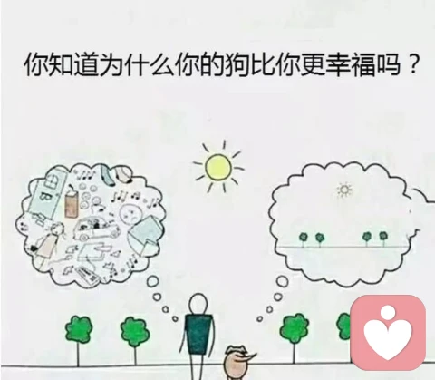 脑子是玩“问题遇见”游戏的机器(上)本能式发现+惯性化解决