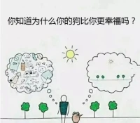 腦子是玩“問題遇見”游戲的機器（上）本能式發現+慣性化解決