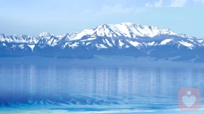 我 不小心”丢了”自己