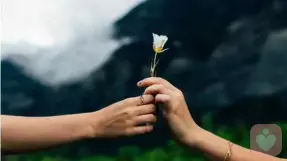 三观不合,不要结婚。