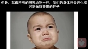 心理服务的四个层次
